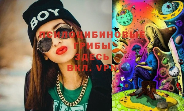 бошки Нефтекумск