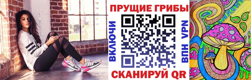 мориарти формула Кедровый Галлюциногенные грибы Psilocybe hydra tor