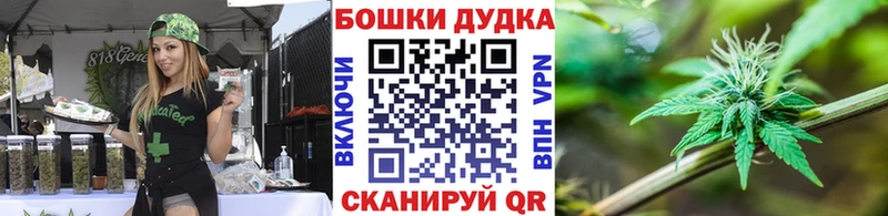 что такое   Кедровый  мориарти наркотические препараты  Шишки марихуана гибрид 